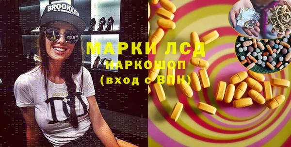 индика Алексин