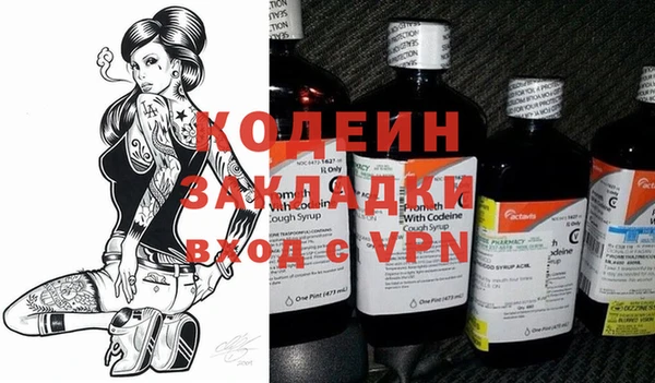 индика Алексин