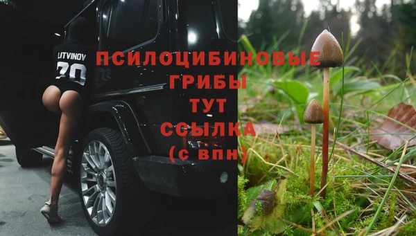 индика Алексин