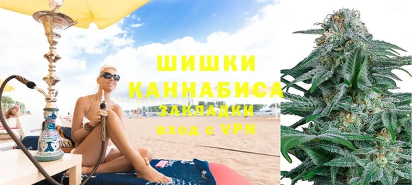 индика Алексин