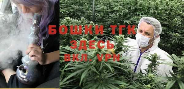СК Покровск
