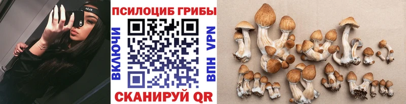 Галлюциногенные грибы мухоморы  Бахчисарай 