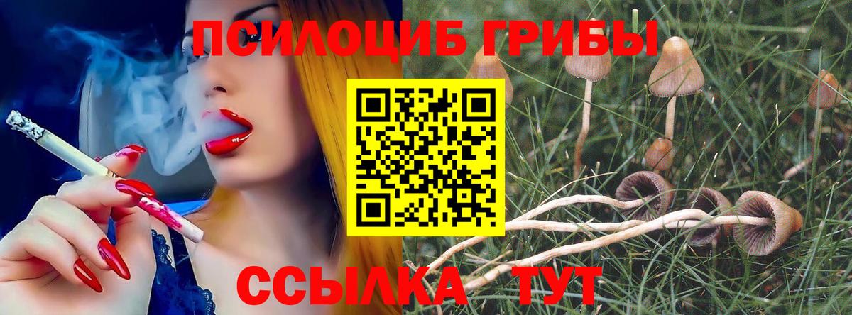 Галлюциногенные грибы MAGIC MUSHROOMS Бахчисарай